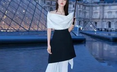 成人女人a毛片在线看